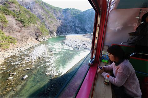 [Travel] 5 Of The Most Scenic Train Rides in South Korea