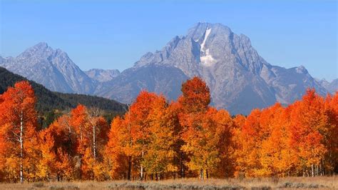 The 8 Best Hikes in Grand Teton National Park - The Geeky Camper