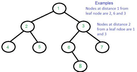 Print all nodes that are at distance k from a leaf node - GeeksforGeeks