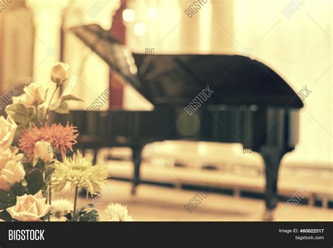 Grand Piano Concert Image & Photo (Free Trial) | Bigstock