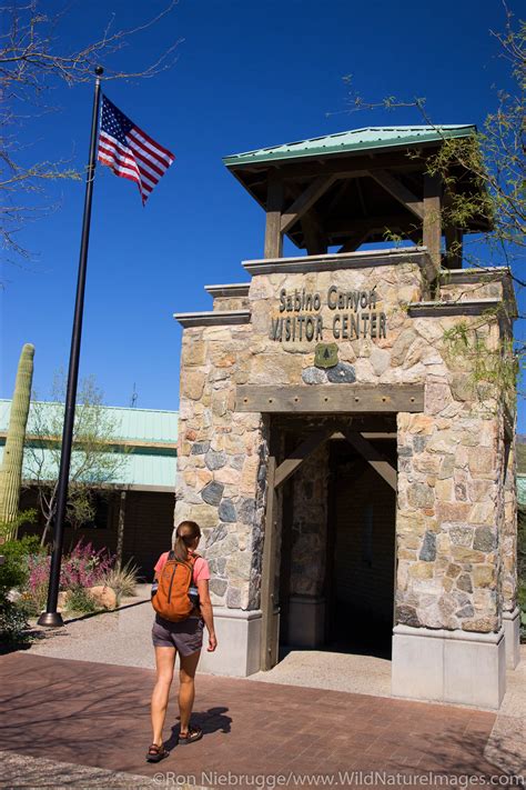 Sabino Canyon Recreation Area | Photos by Ron Niebrugge