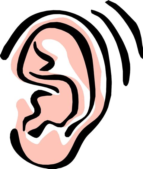 Ear Png Image - Listening Ear Clip Art - (954x1137) Png Clipart Download