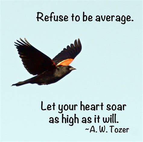 Soar High Quotes Inspirational. QuotesGram