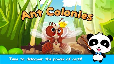 Ant Colony For Kids – Kids Matttroy