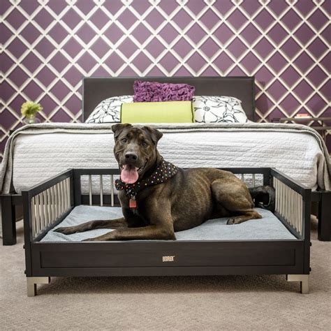 Manhattan Dog Bed fits into any space that your pup will love! | Raised dog beds, Dog bed large ...