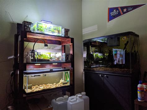 My aquarium corner : r/Aquariums