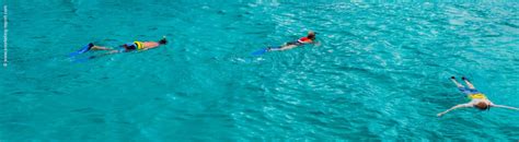 Snorkeling Turks and Caicos Islands | A Guide to the Best Spots ...