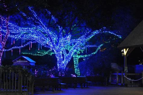 When is the best time to visit Zoo Lights? You asked us!