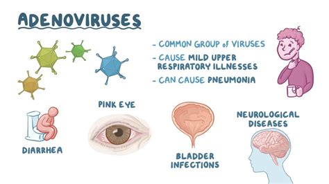 Adenovirus