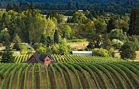 Willamette Valley Wine Country | Hey, all you sliders out th… | Flickr