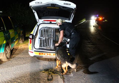 HAMPSHIRE POLICE TO CUT 15 DOG HANDLERS BY 2019 - Island Echo - 24hr ...