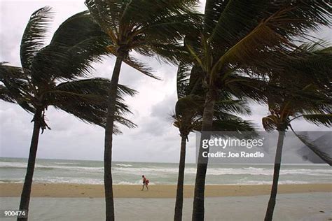 Hollywood Beach Weather Photos and Premium High Res Pictures - Getty Images