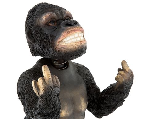 Rude Finger Gorilla Bobble Head - Multi | Catch.com.au