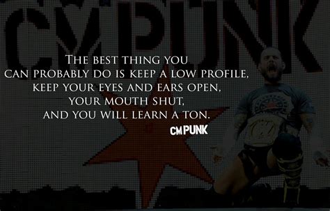 Cm punk Quotes | Punk quotes, Cm punk quotes, Cm punk