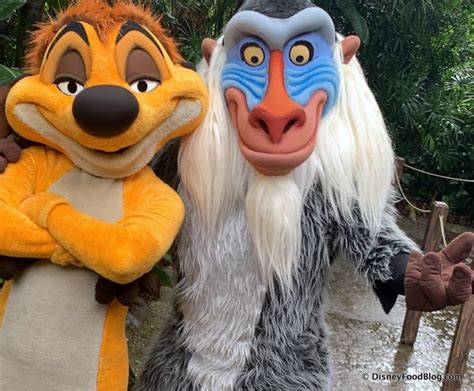 Hang Out With Timon and Rafiki Now Meeting Together in Disney World! | the disney food blog