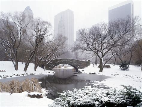 🔥 [50+] NYC Winter Scenes Wallpapers | WallpaperSafari