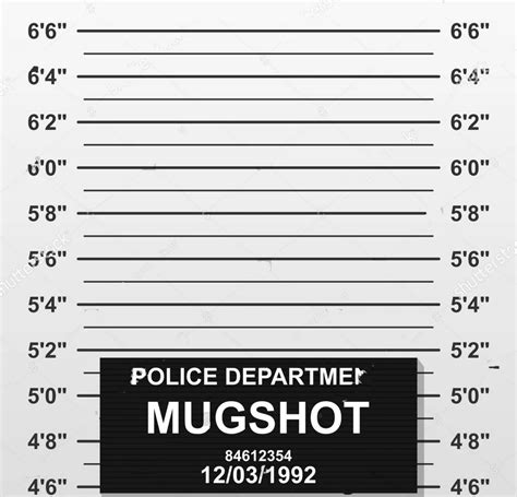 custom Criminal Mug Shot Police Lineup Mugshot photography backgrounds ...