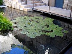 Category:Getty Villa - Gardens - Wikimedia Commons