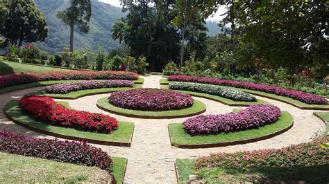 Hakgala Botanical Gardens, Nuwara Eliya. : r/srilanka