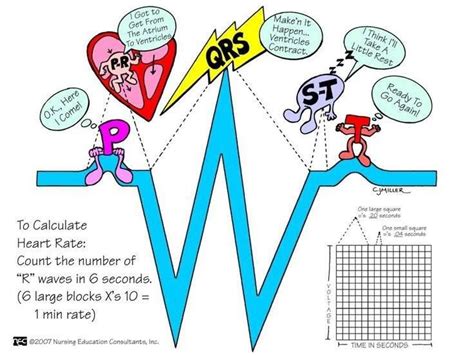 PQRST wave | Nursing mnemonics, Nurse, Nursing school