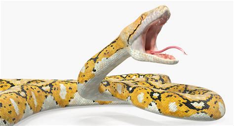 3D yellow python snake attack - TurboSquid 1412938