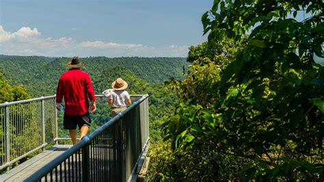 Mamu Rainforest Canopy Walkway, Mighell holiday accommodation from AU ...