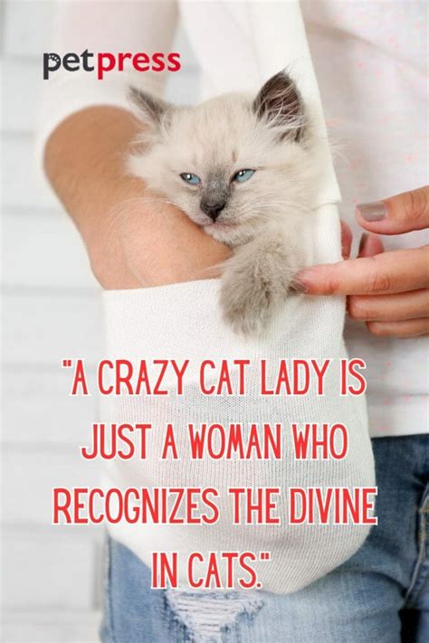 Unleashing Purr-fection: 50+ Crazy Cat Lady Quotes to Inspire Your Day