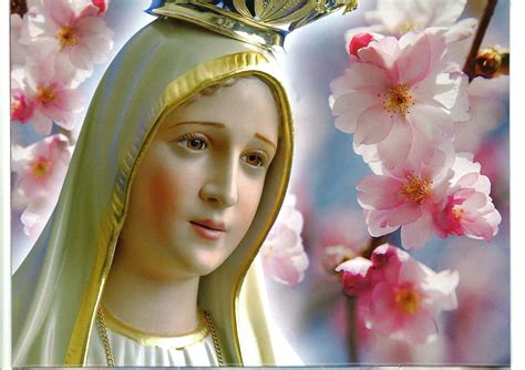 Download Mother Mary blessings Wallpaper | Wallpapers.com