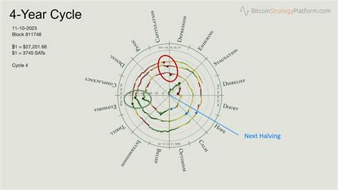 Bitcoin On-Chain and Cycle Analysis: The Rational Root