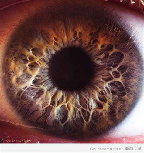 Extreme Human Eye Close-up | Human eye, Macro photography eyes, Eye close up