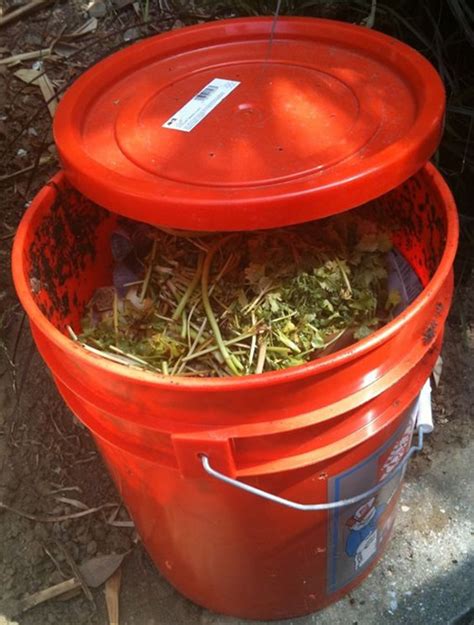 Diy Worm Bin 5 Gallon Bucket - How to Make a Composting Worm Bin - Easy and Inexpensive ...