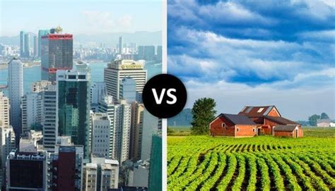 100 Best Village Vs City Images, Videos In 2020 | Difference Between Village And City Difference ...