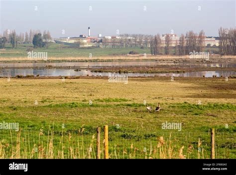 Hollesley bay prison hi-res stock photography and images - Alamy