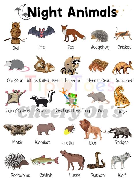 Nocturnal Animal Poster Night Animals Science (Instant Download) - Etsy Canada | Nocturnal ...