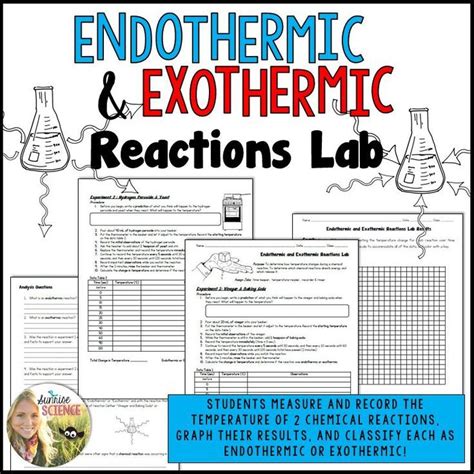 Endothermic Exothermic Reactions Lab | Exothermic reaction, Teaching ...