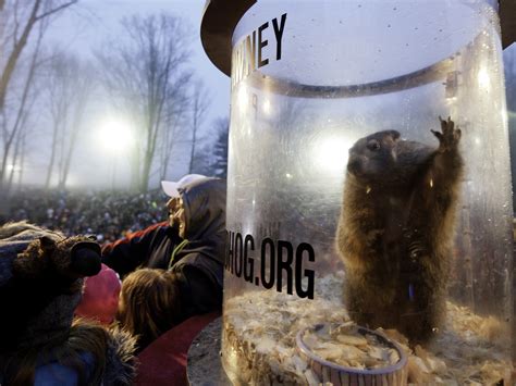 Groundhog Day: Bringing The Celebration Out Of The Shadows : NPR