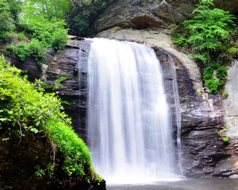 Looking Glass Falls - Asheville, NC | Looking glass falls, Woodlands ...