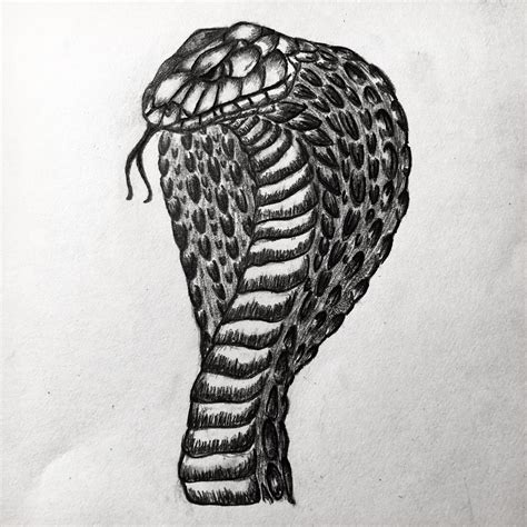 Trying to learn how to draw reptiles realistically, heres a cobra that ...