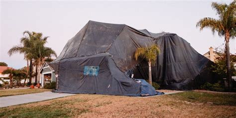 Avoiding Termites? Here’s Why Termite Tent Fumigation Should Be on Your Radar – ROWAN HOUSE