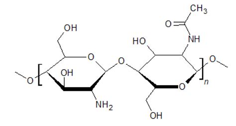 Chitosan Finishing