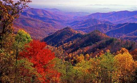 Pin by Bob Trick on beautiful sceneries | Virginia fall, Fall foliage, Virginia is for lovers