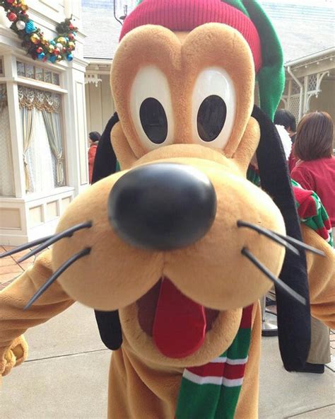 Pin by Samantha Constable Smith on Disney | Disney world characters, Pluto the dog, Pluto