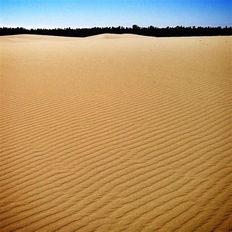 Sand Dunes florence Or - Beach