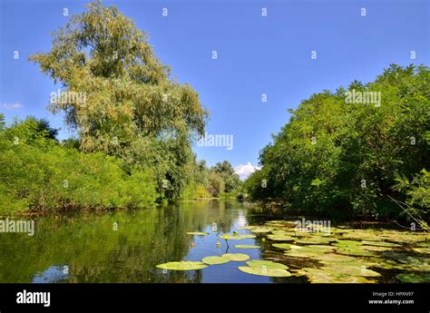 Danube Delta, Romania Stock Photo - Alamy