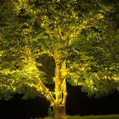 Tree Lights For Spring and Summer - Yard Envy | Outdoor tree lighting, Outdoor trees, Summer trees