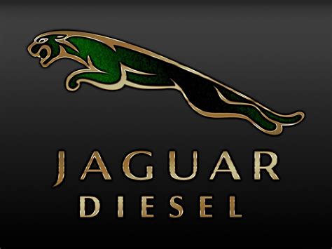 Fondos de pantalla : texto, logo, diseño gráfico, marca, Jaguar, auto, reptil, gráficos, Papel ...