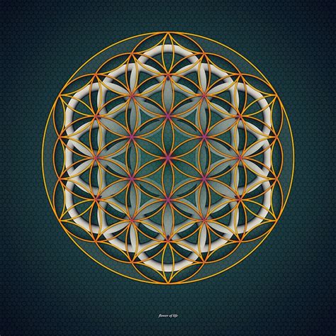 2226 best Flower of Life & Sacred Geometry images on Pinterest | Sacred ...