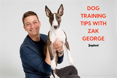 Dog Training Tips with Zak George: 7 Must-Do Training Hacks | Pupford