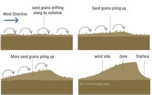 Sand Dune – Eschooltoday