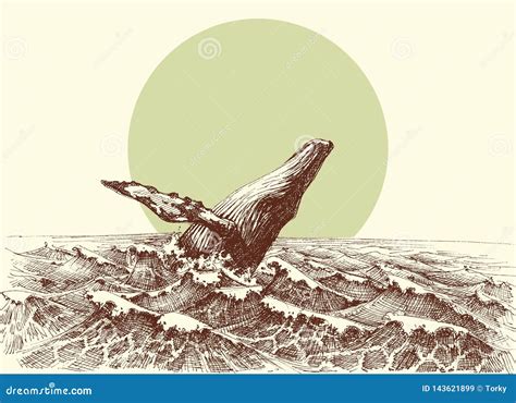 Humpback Whale Jumping Out of the Water Stock Vector - Illustration of ocean, drawing: 143621899